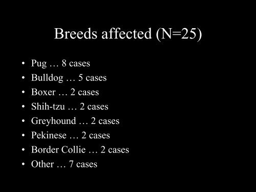 Corneal squamous cell carcinoma in dogs with a history of chronic ...