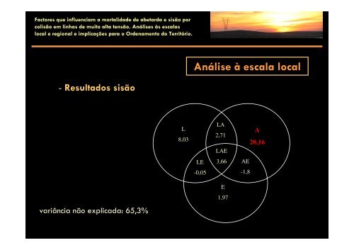 Factores que Influenciam a Mortalidade de Abetarda e SisÃ£o por ...