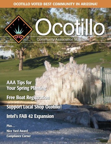 Ocotillo - Oca-Az.com