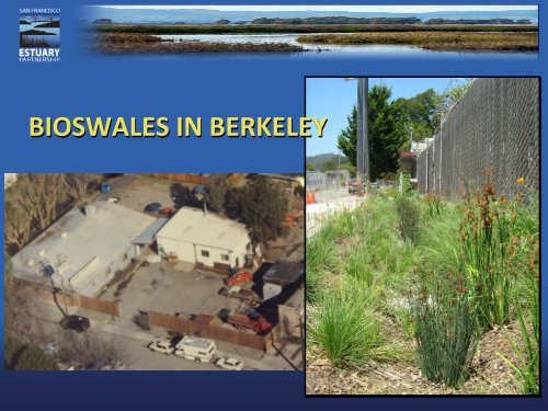 Bay Area Watershed Network SPASS Presentation - San Francisco ...