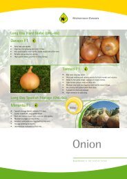 Onion - Product leaflet - Nickerson-Zwaan