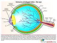 Immune privileged sites - the eye - Immunopaedia