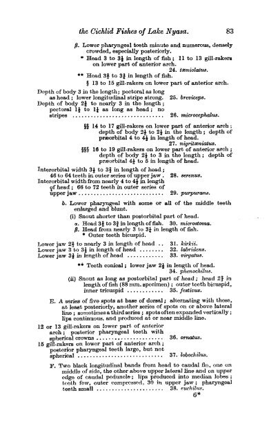 Download Trewavas (1935) - The Cichlid Fishes of Lake Malawi ...