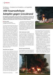 FW Steinhausen - 400 Feuerwehrleute kÃ¤mpfen gegen Grossbrand
