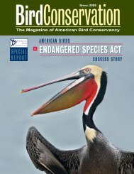 ENDANGERED SPECIES ACT - American Bird Conservancy