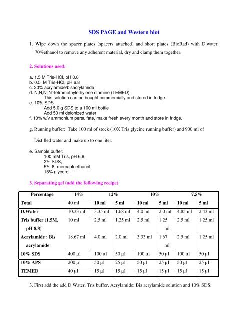 SDS PAGE and Western blot