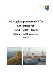 Job â og kompetenceprofil for Centerchef for Natur - MiljÃ¸ ... - KTC
