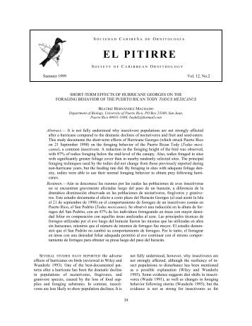 el pitirre - Society for the Conservation and Study of Caribbean Birds