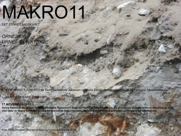 Notat 1-2011, Makro-Meso-Mikro Ornes synfaring, registreringÃ¢Â€Â¦