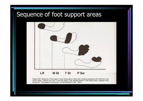 Ankle and foot region - Hong Kong Physiotherapy Association