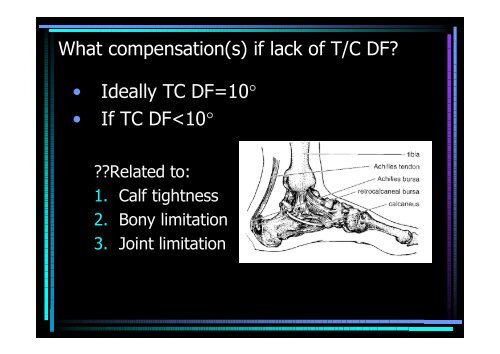 Ankle and foot region - Hong Kong Physiotherapy Association