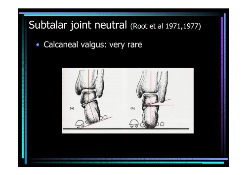 Ankle and foot region - Hong Kong Physiotherapy Association