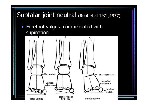 Ankle and foot region - Hong Kong Physiotherapy Association