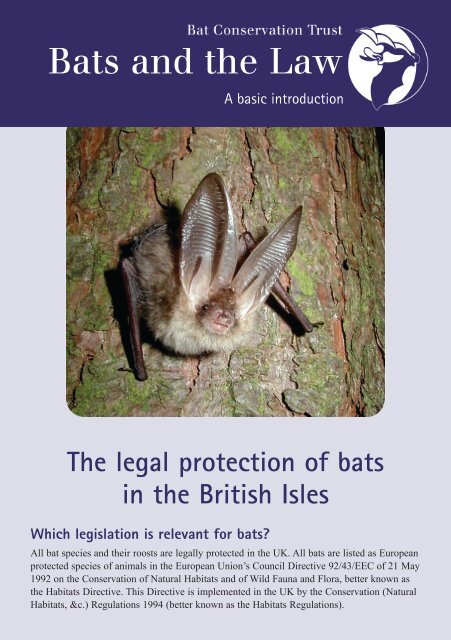 Bats and the Law - The Churches Conservation Trust