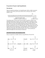 Preparation of Soap by Lipid Saponification