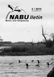 NABUlletin 02/2010 - NABU Mainz und Umgebung