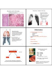 Acute and chronic Inflammation