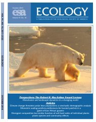 Climate Change Threatens Polar Bear Populations