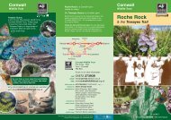 Roche Rock and the Tresayes Trail - Cornwall Wildlife Trust