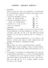 梵中索引