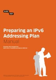 Preparing an IPv6 Addressing Plan Manual - RedIRIS