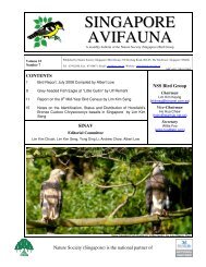 Singapore Avifauna Vol 22 No 7 - Singapore Bird Group - Nature ...