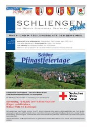 Mitteilungsblatt KW 20 - Gemeinde Schliengen