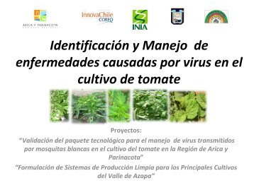 IdentificaciÃ³n y Manejo de enfermedades causadas por ... - Platina