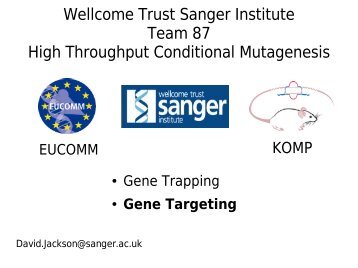 Wellcome Trust Sanger Institute Team 87 High Throughput - casimir