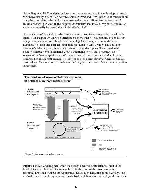 Ecofeminism in the twenty-first century