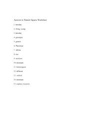 Answers to Punnett Square Worksheet