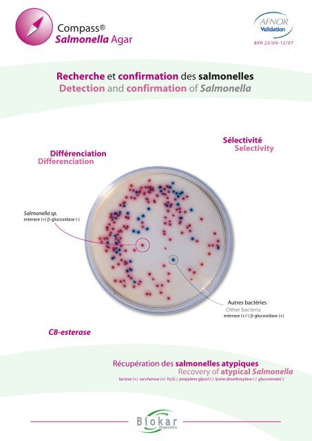 CompassÂ® Salmonella Agar Biokar - NOACK