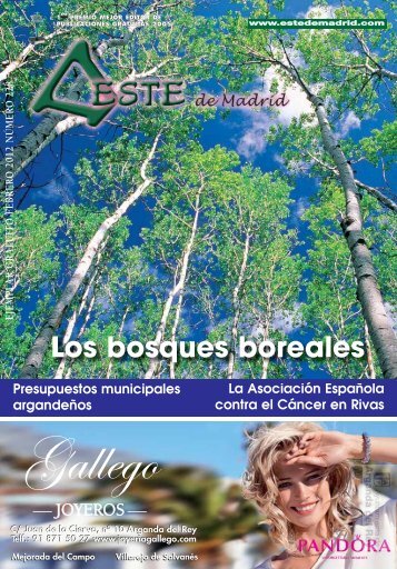 Revista  este de madrid (1991-2011) - Archivo de Arganda del Rey ...
