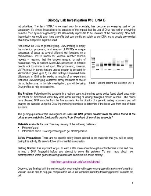 DNA Fingerpriniting - An Argument Driven Inquiry Lab Activity.pdf