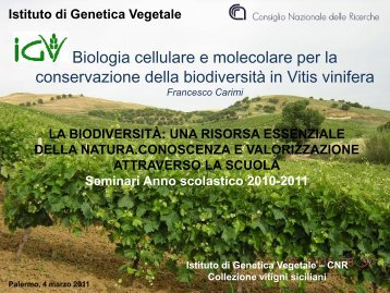 BiodiversitÃ  vite p.p..pdf - Anisn