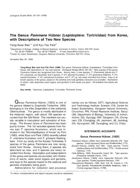 The Genus Pammene Hubner (Lepidoptera: Tortricidae) from Korea ...