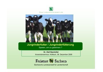 PowerPoint - SteihoefelO_081208 - Landwirtschaft in Sachsen