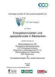 BRANCHENBERATUNG ENERGIE ... - WIN - Steiermark