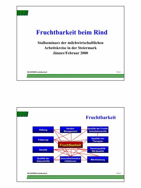 Fruchtbarkeit beim Rind