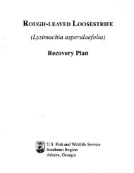 Recovery Plan - Herbarium - North Carolina State University
