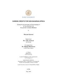 CARBON CREDITS FOR SUB-SAHARAN AFRICA - lumes