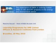 The experience of ENEA in involving Italian Smes - European BIC ...