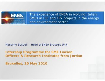 The experience of ENEA in involving Italian Smes - European BIC ...