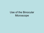 Use of the Binocular Microscope