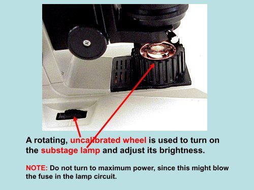 Use of the Binocular Microscope