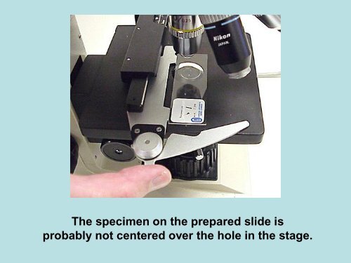 Use of the Binocular Microscope