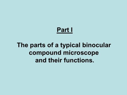 Use of the Binocular Microscope