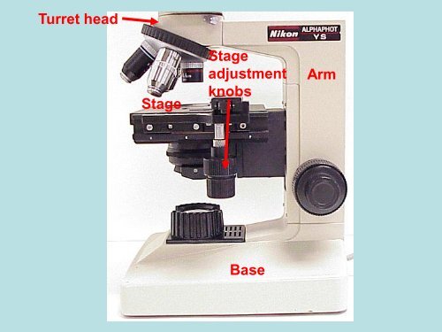 Use of the Binocular Microscope