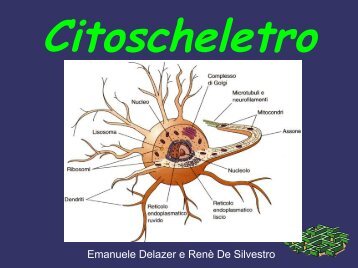 Citoscheletro - Polo Valboite