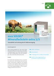 esco SOLSEL® Mineralleckstein extra 1/3